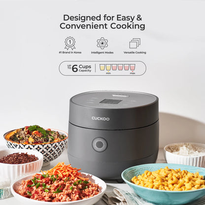 CR-0675FG 6-Cup (Uncooked) / 12-Cup (Cooked) Micom Rice Cooker with Nonstick Inner Pot (Gray)